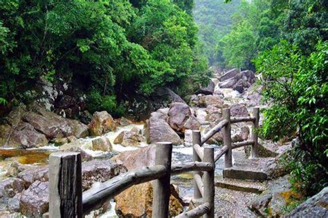 十万大山|广西十万大山国家森林公园旅游攻略